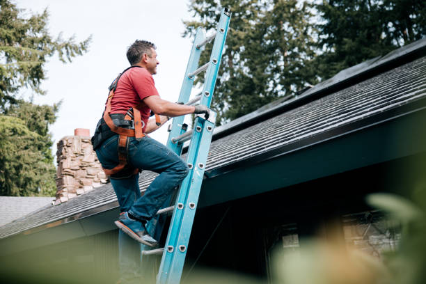 Best Roof Leak Repair  in Lake Dunlap, TX